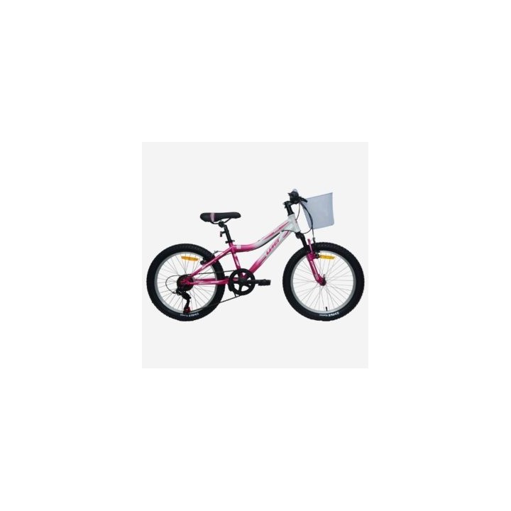 2125-35 20″ DIANA ROSA/BLANCA